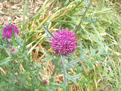 1590140746-slider1.png