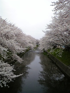 DVC00168_M.JPG