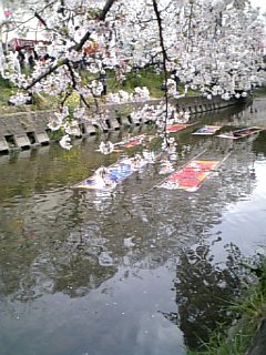 DVC00173_M.JPG