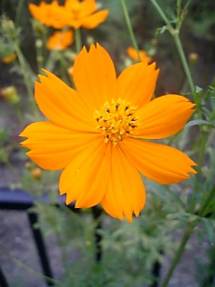 DVC00315_M.JPG