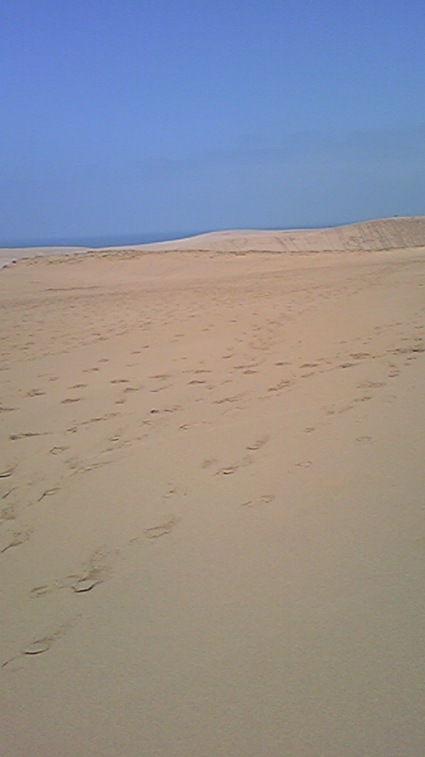 DVC00043.jpg