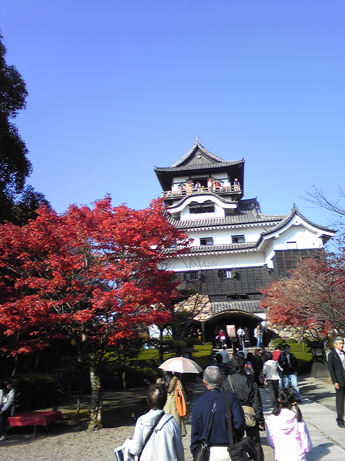 DVC00356.jpg