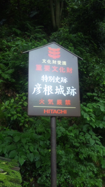 DVC00341.jpg