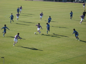 20090104-04.JPG
