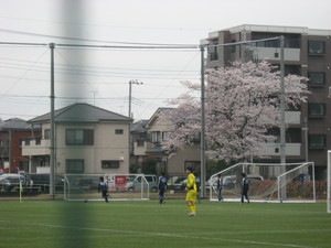20100405-01.JPG