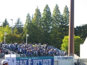 20101011-02.JPG