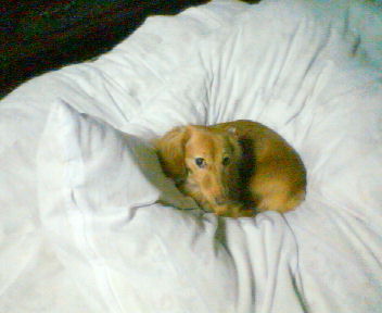 20071224-00.jpg