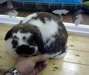 20090118-02.jpg