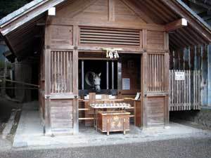 20090206-03.jpg
