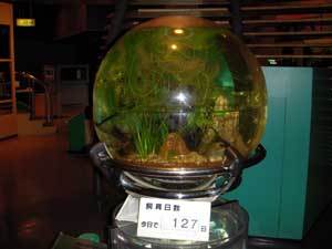 20090208-02.jpg