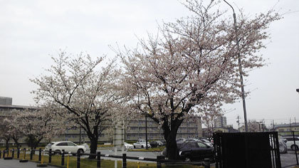 20090406-00.jpg
