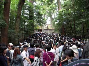 20090503-02.jpg