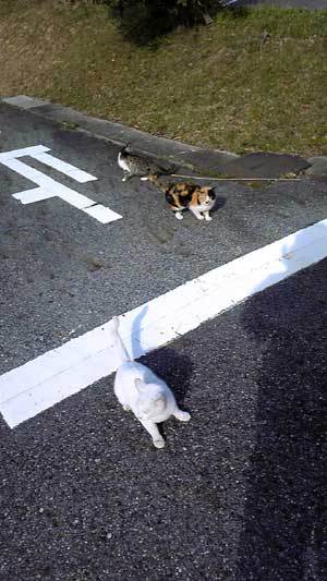 20090504-02.jpg