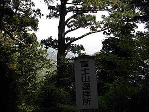 20090526-03.jpg