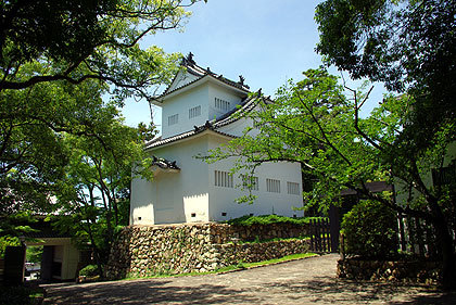 20090715-04.jpg