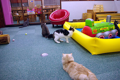 20090826-00.jpg