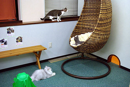20090826-01.jpg