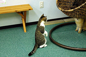 20090826-02.jpg