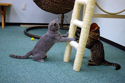 20090826-03.jpg