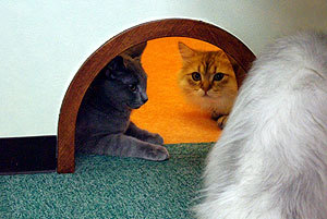 20090826-04.jpg