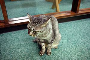 20090826-06.jpg