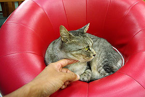 20090826-07.jpg