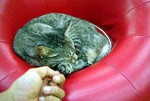 20090826-08.jpg