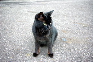 20100223-00.jpg