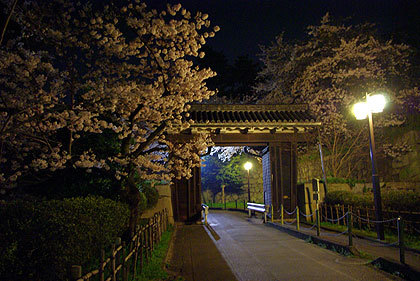20100406-04.jpg