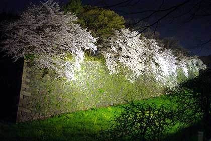 20100406-05.jpg