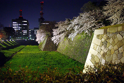 20100406-06.jpg