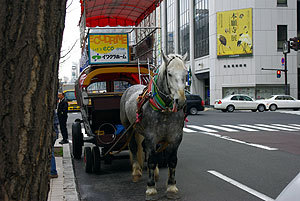 20100607-02.jpg