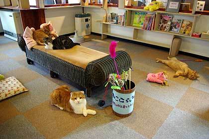 20100608-00.jpg