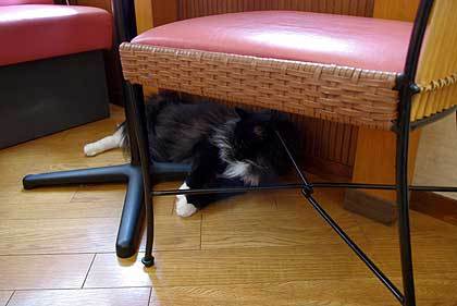 20100912-00.jpg