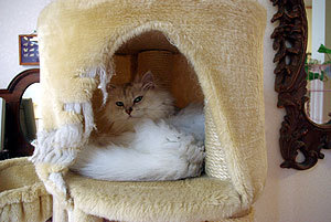 20100912-02.jpg