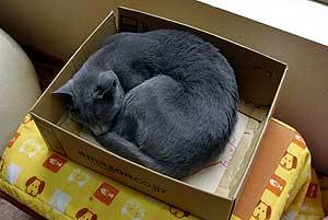 20100912-03.jpg