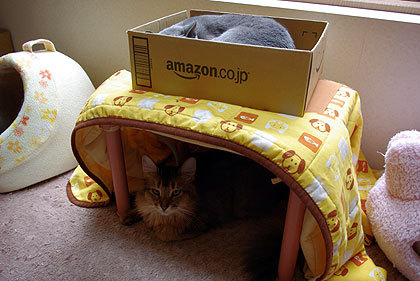 20100912-04.jpg