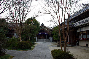 20110325-10.jpg
