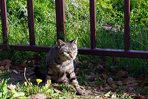 20110413-02.jpg
