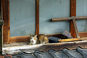 20110413-11.jpg