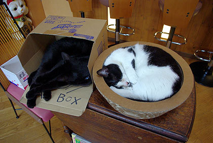 20110510-01.jpg