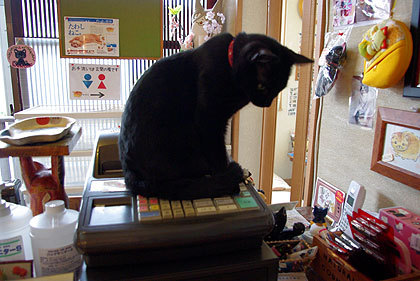 20110510-02.jpg