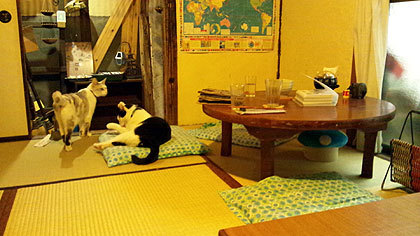 20110606-02.jpg