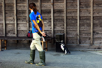 20120922-01.jpg