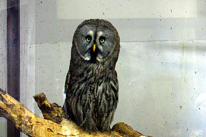 20120922-02.jpg