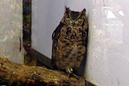 20120922-03.jpg