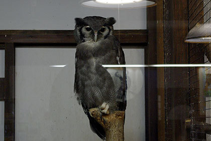 20120922-04.jpg