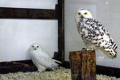 20120922-05.jpg