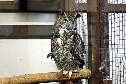 20120922-06.jpg