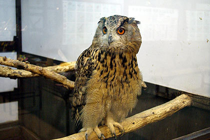 20120922-07.jpg